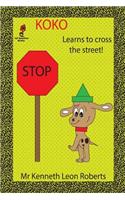 Koko - Learns to Cross the Street!
