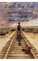 Little Boy Lost