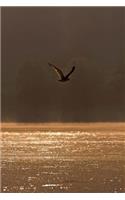 A Solitary Bird Soaring Over a Golden Lake at Sunrise Nature Journal: 150 Page Lined Notebook/Diary