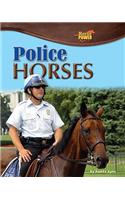 Police Horses