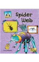 Spider Web