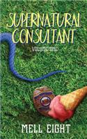 Supernatural Consultant: Volume One