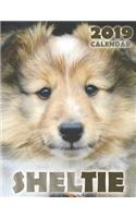 Sheltie 2019 Calendar