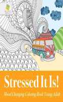 Stressed It Is! Mood Changing Coloring Book Young Adult