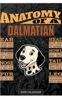 Anatomy Of A Dalmatian: Dalmatian 2020 Calendar - Customized Gift For Dalmatian Dog Owner