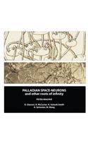 Palladian Space-Neurons and other Roots of Infinity