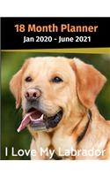 Jan 2020 - June 2021 18 Month Planner: I Love My Labrador