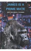 2020 / 2021 Two Year Weekly Planner For James Name - Funny Gorilla Pun Appointment Book Gift - Two-Year Agenda Notebook: Primate Humor - Month Calendar: 2 Years of Monthly Plans - Daily Reminder Monkey Logbook - Day Log For Personal Goals & Schedule
