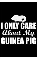 I Only Care About My Guinea Pig