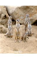 Note Book: Meercats on Look Out, Notebook, Wide Lined, 200 Paged 7.44 X 9.69, Meercat Family