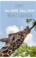 Giraffe Weekly Calendar