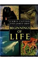 Beginnings Of Life