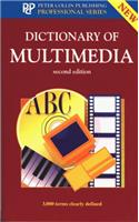 Dictionary of Multimedia (Professional)