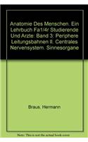 Anatomie Des Menschen. Ein Lehrbuch Fa1/4r Studierende Und A"rzte: Band 3: Periphere Leitungsbahnen II. Centrales Nervensystem. Sinnesorgane