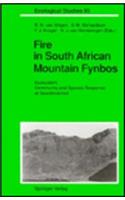 Fire in South African Mountain Fynbos