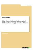 What Causes Industry Agglomeration? Evidence from Coagglomeration Patterns