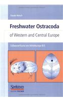 Crustacea