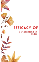 Efficacy of e Marketing