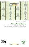Vitex Amaniensis: (English)