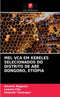 Mel Vca Em Kebeles Selecionados Do Distrito de Abe Dongoro, Etiópia