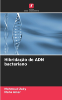 Hibridação de ADN bacteriano