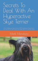 Secrets To Deal With An Hyperactive Skye Terrier