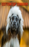 Cottontop Tamarin