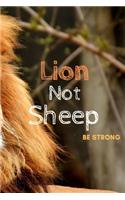 Lion Not Sheep