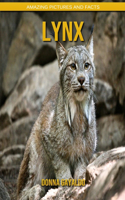 Lynx
