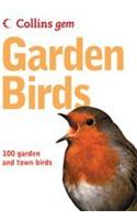 Garden Birds