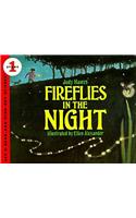 Fireflies in the Night