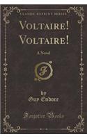 Voltaire! Voltaire!: A Novel (Classic Reprint)