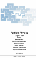 Particle Physics: Cargèse 1989(223 NATO Science Series B:)