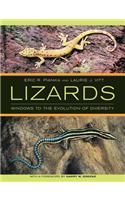 Lizards