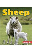 Sheep: (First Step Nonfiction — Farm Animals)