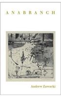 Anabranch