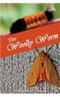 Woolly Worm