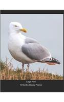 Large Print - 2020 - 15 Months Weekly Planner - Beach - Posing Seagull