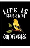 Life Is Better With Goldfinches: Animal Nature Collection
