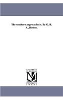 The southern negro as he is. By G. R. S., Boston.