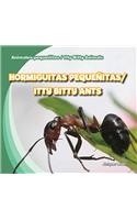 Hormiguitas Pequeñitas / Itty Bitty Ants
