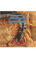 Centipedes and Millipedes Are Gross!