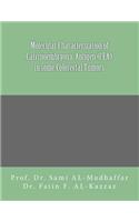Molecular characterization of carcinoembryonic antigen (CEA) in some colorectal Tumors