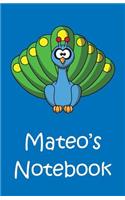 Mateo's Notebook