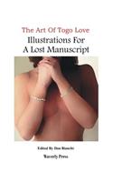 Illustrations For A Lost Manuscript