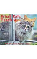 What Cats Teach Us 2020 Box Calendar