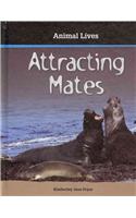 Us Attracting Mates