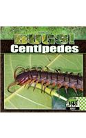 Centipedes