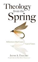 Theology from the Spring: Reflections of the Creator Cast in Nature