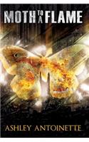 Moth To A Flame